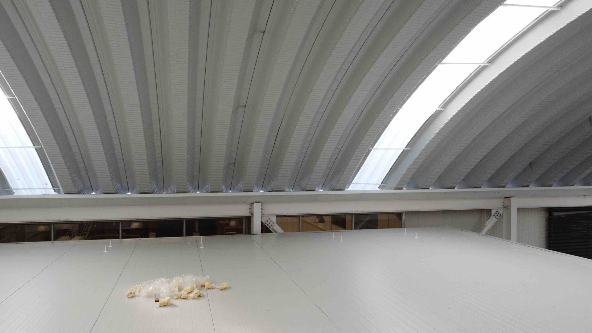 Proyectos Kenalia Bodega AMI